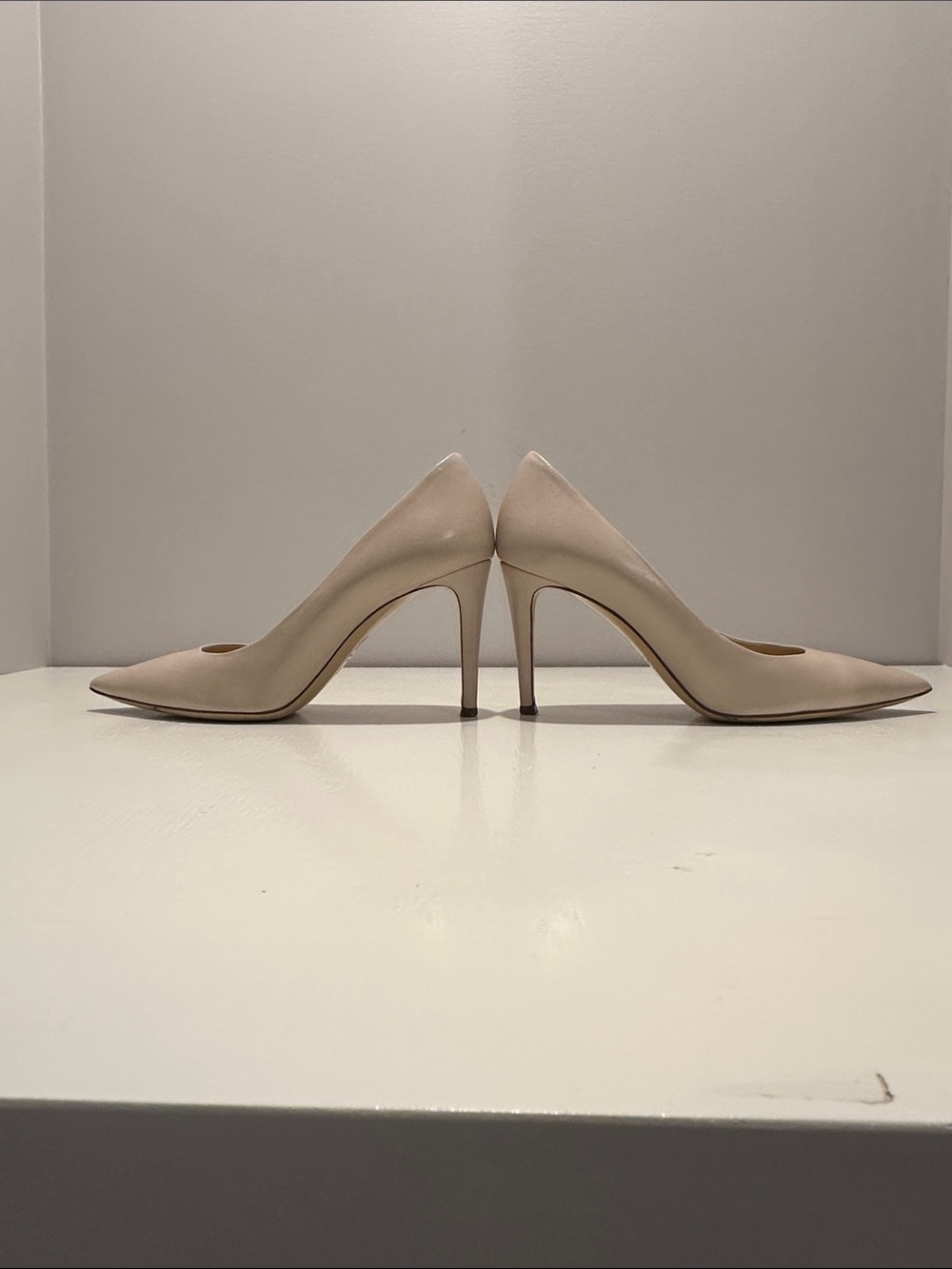 Sleek Pointed-Toe Stiletto Pumps in Nude